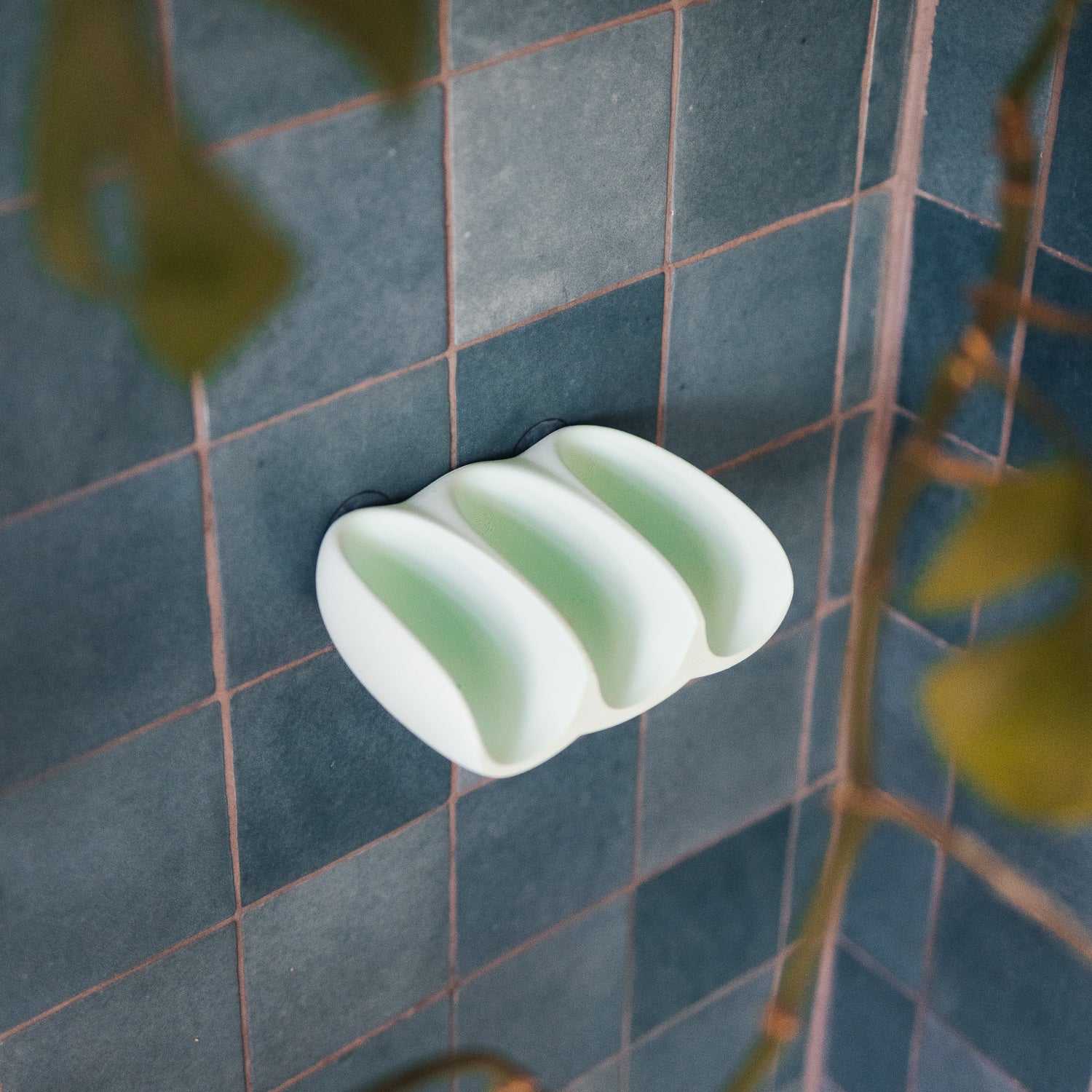 Self-Draining Soap Dish - Hang on the walls