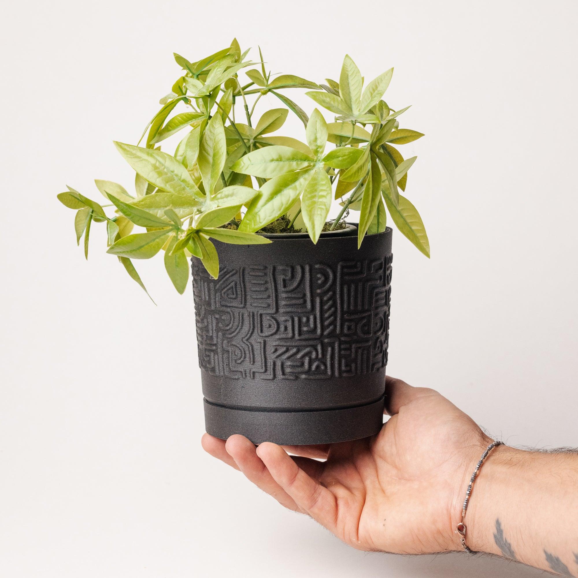 Cache pot - Sculpté à la main - A base de bois