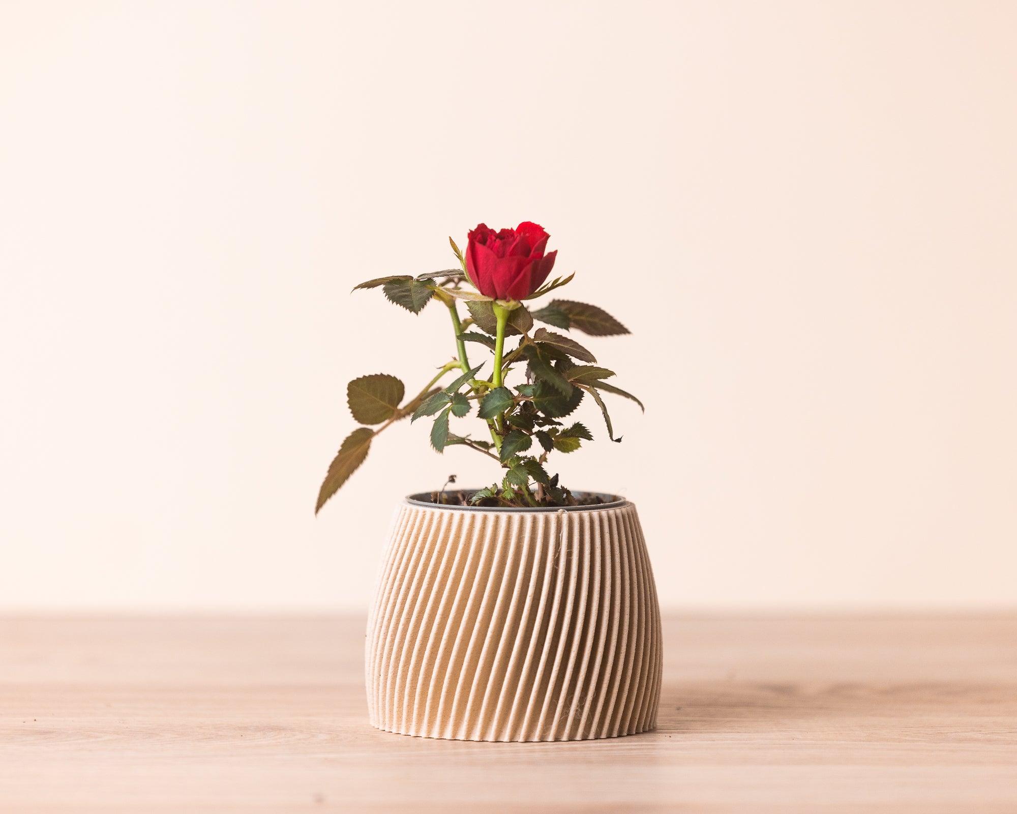 Small planter - Vorte