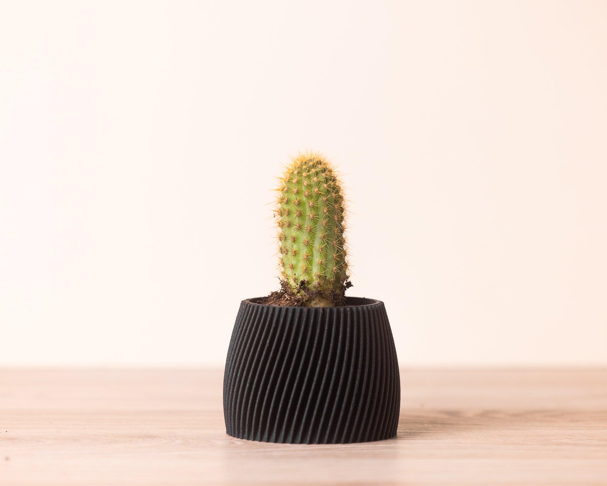 Small planter - Vorte