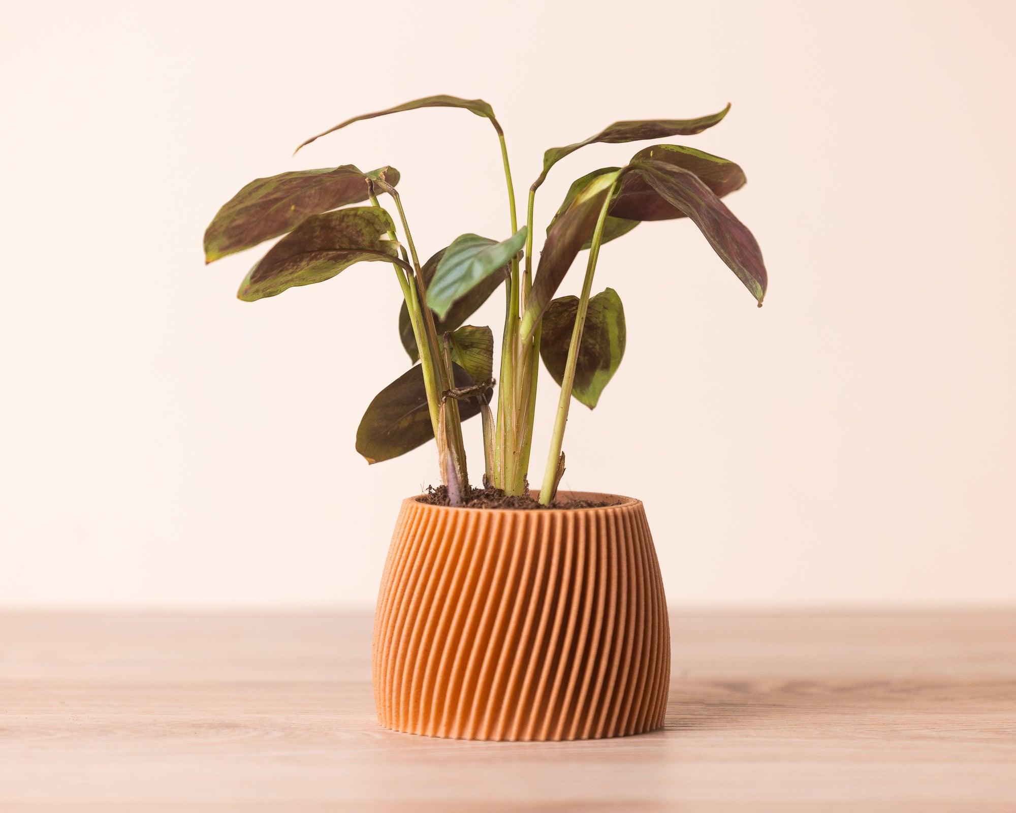 Small planter - Vorte