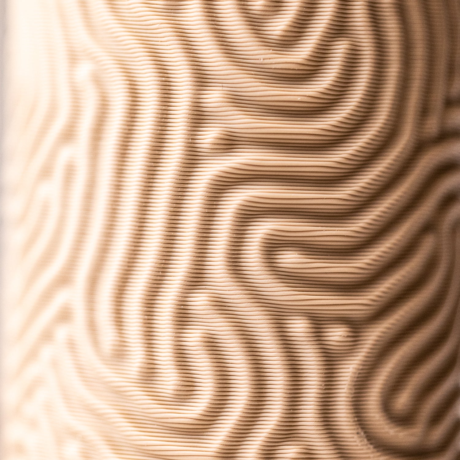 Transport box - Toothbrush - Made from wood