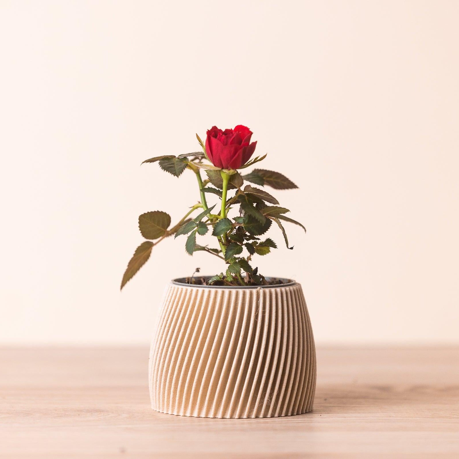 Small planter - Vorte