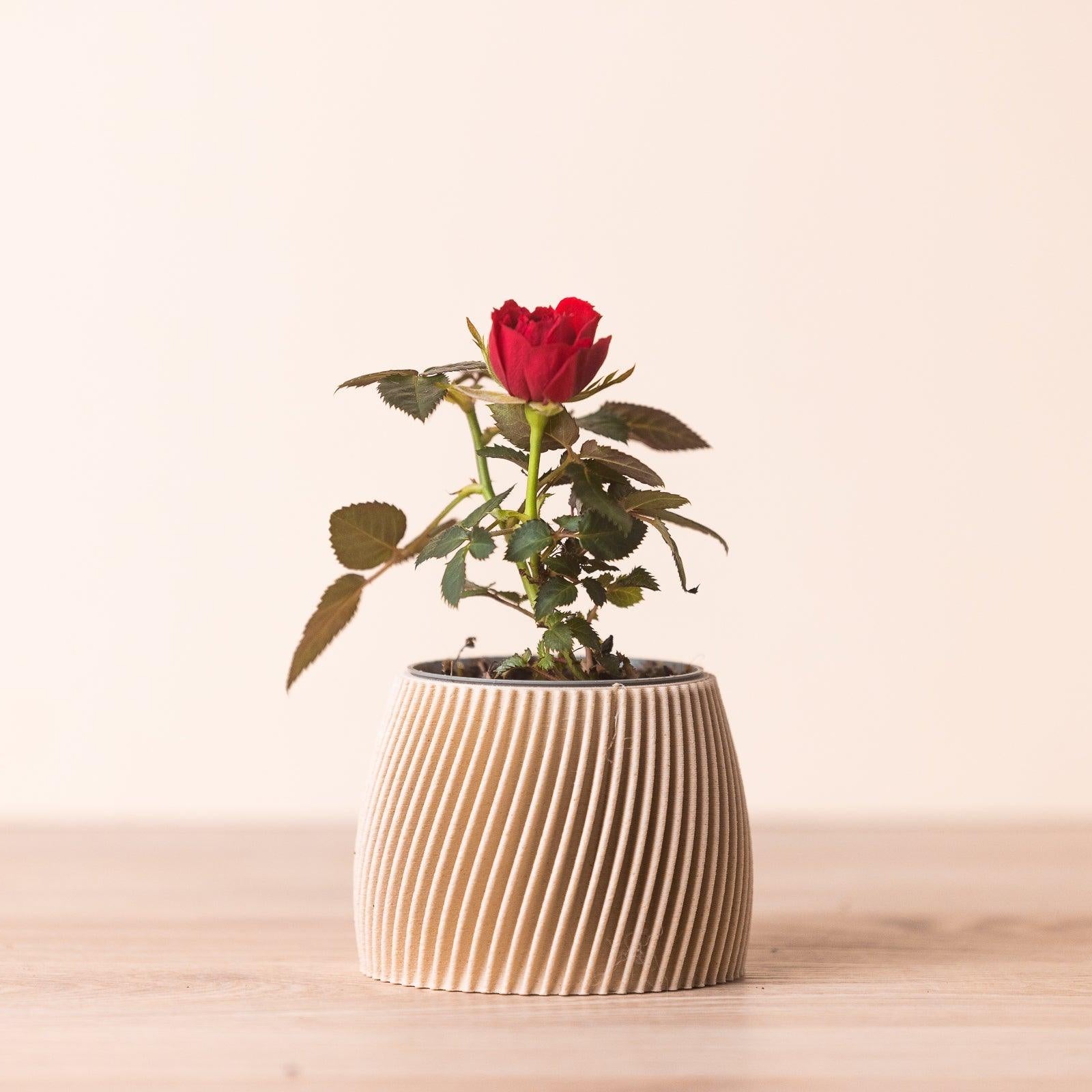 Petit cache pot - Motif hypnotisant et zen - A base de bois - Copo Design